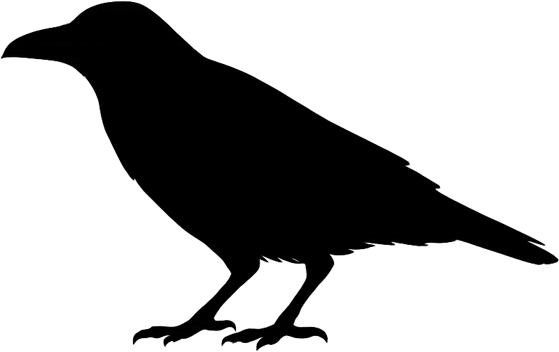 カラス